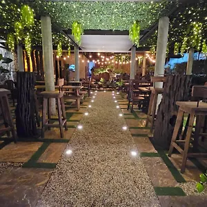 Phoenix An Bang , Hoi An Vietnam